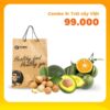 combo_9_trai_cay_viet